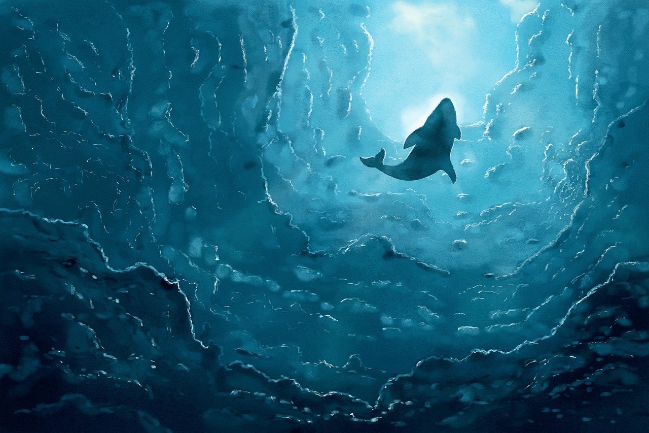 Dogecoin Price Rally Slows as Whales Quietly Back This Rival with 42,110% Growth Potential
