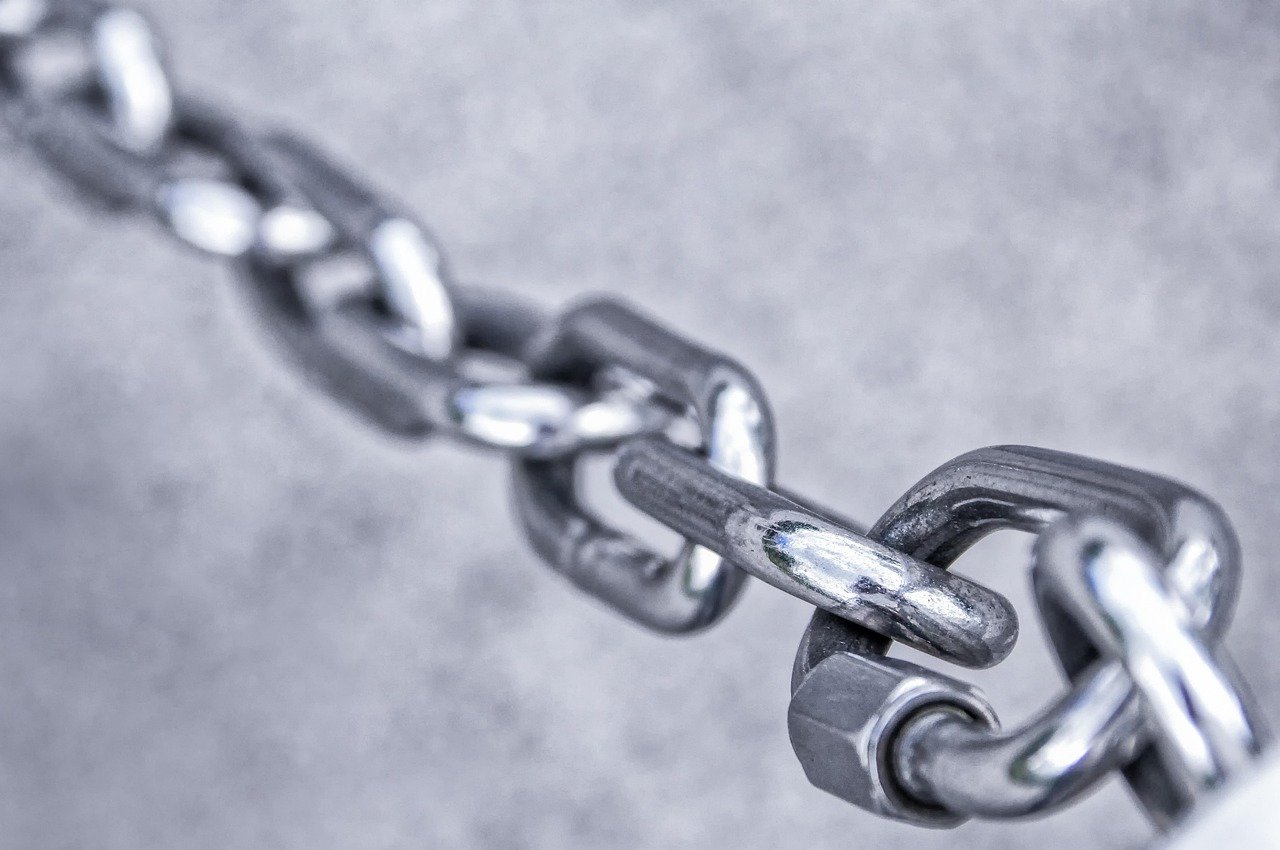 Chainlink Set for $36? Whale Moves Suggest a Big Rally—Analyst