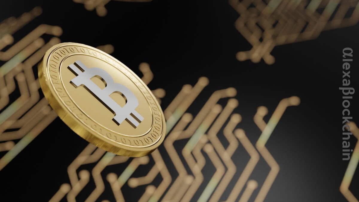 Why Institutions Are Betting Big on Crypto in 2025, Coinbase Survey