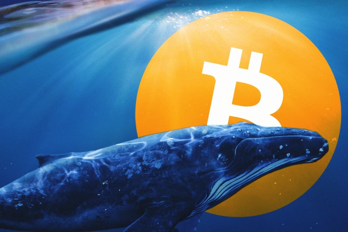 New Bitcoin Whales Quietly Absorb Massive Supply, Analysts Say
