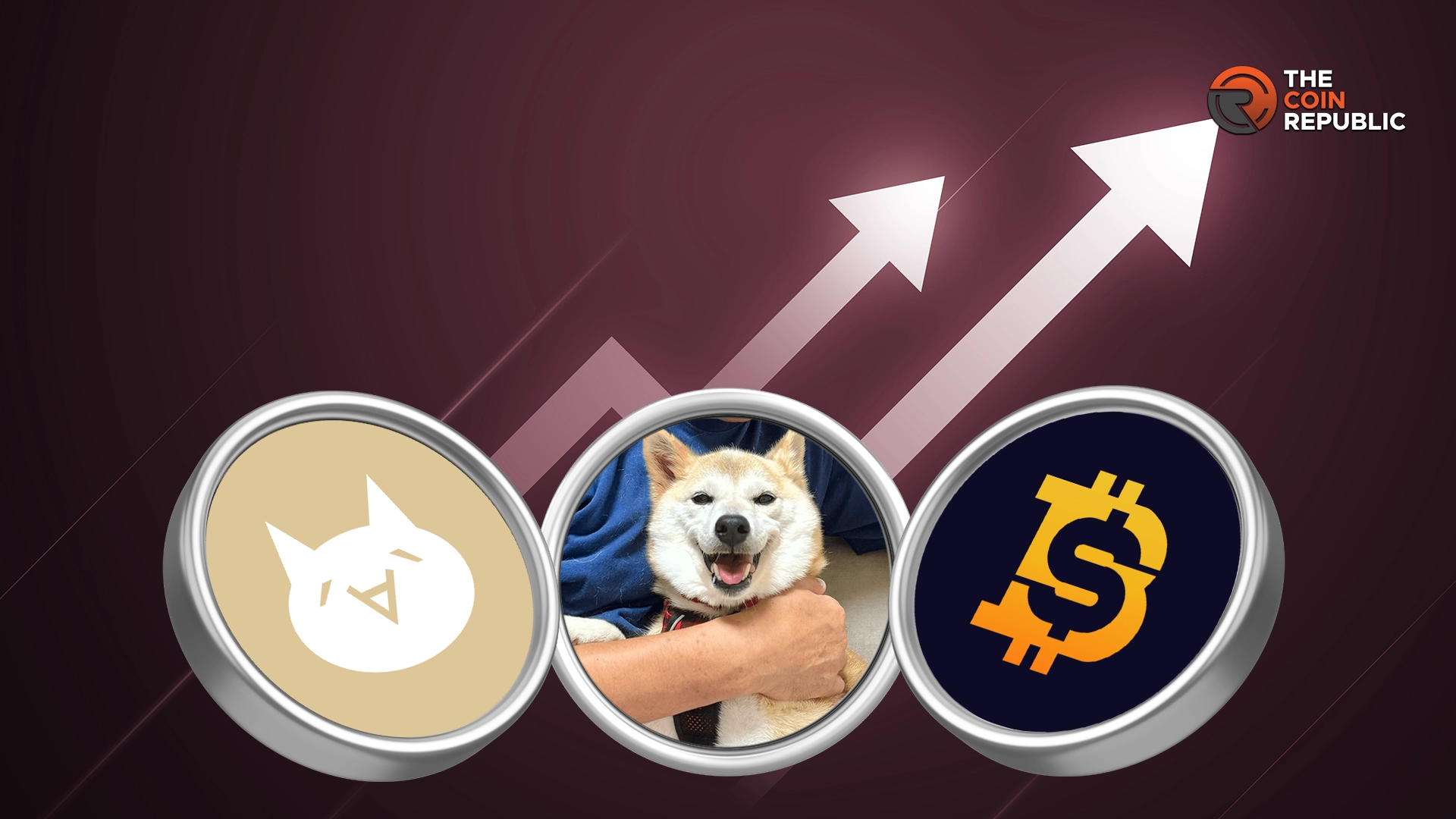 Why Solaxy Could Outperform Fartcoin And Dogwifhat