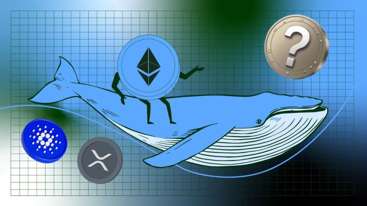 Ethereum Whales Next Bets? Searching for Next Big Winner While Cardano & XRP Slips Lower