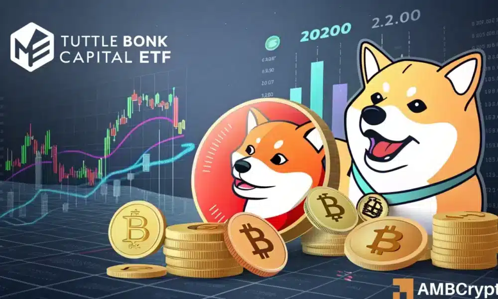 BONK, Litecoin, SUI see 'colorful crypto income ETF' filings