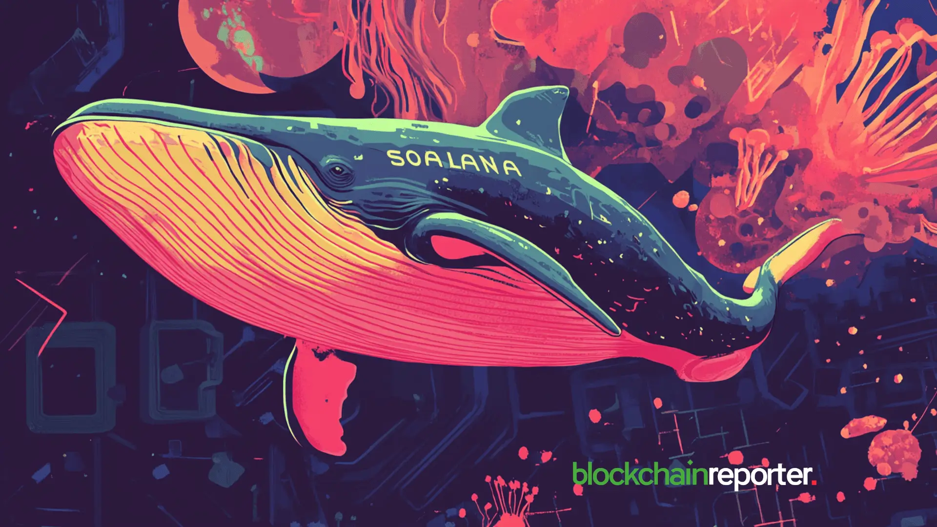 Solana Whales Add $381M — ETF Decision Could Spark Major SOL Rally